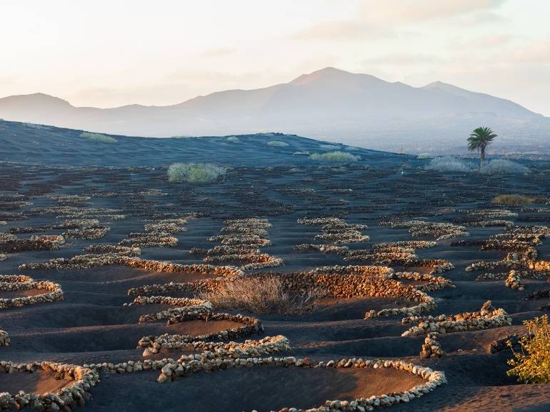 where-to-eat-in-lanzarote