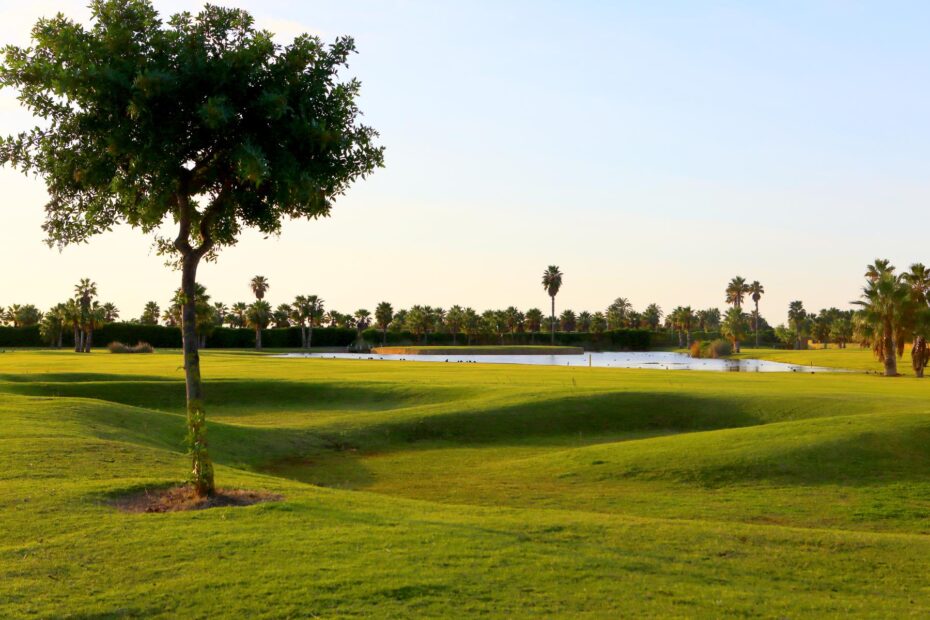 Fairway at Playa Granada in low sun: golf course overseeding in Spain decides which autumn weeks a group plays at its best