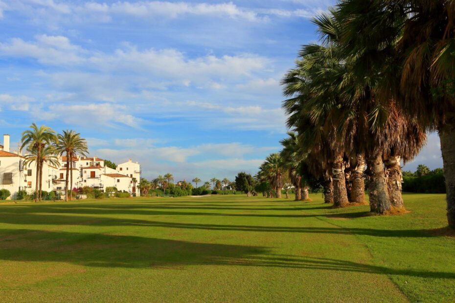 Calle de golf con palmeras en la Costa Tropical: cómo vender un viaje de golf en Andalucía sin competir por precio