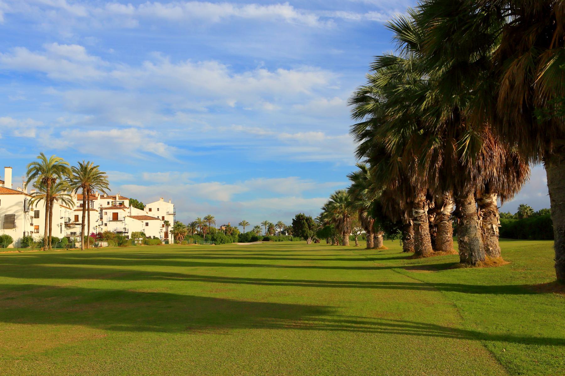 Calle de golf con palmeras en la Costa Tropical: cómo vender un viaje de golf en Andalucía sin competir por precio