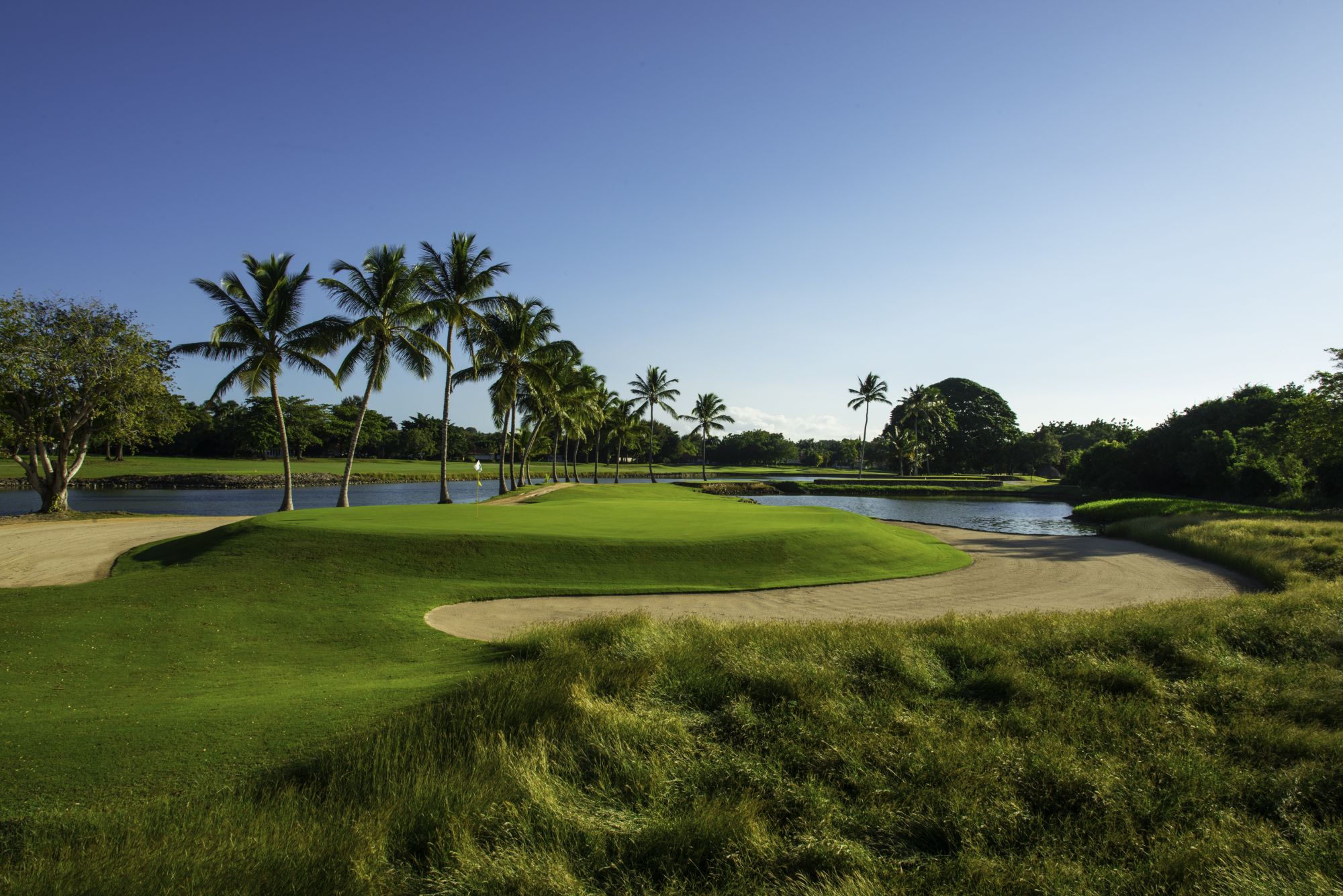 Green de Casa de Campo entre palmeras y agua: el soporte en destino en un viaje de golf se prueba cuando el grupo ya está allí
